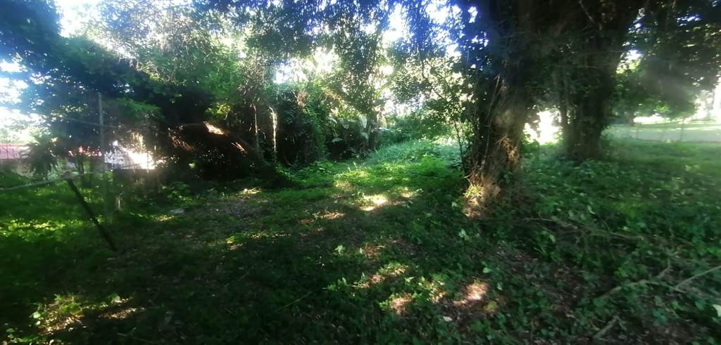 1100 m² Land available in Pennington photo number 8