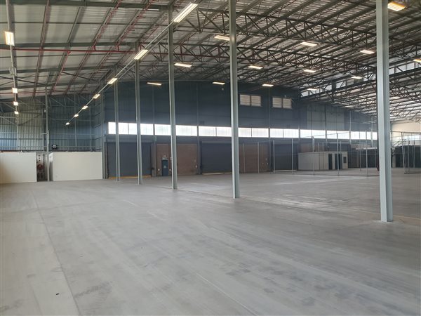 7862  m² Industrial space in Louwlardia