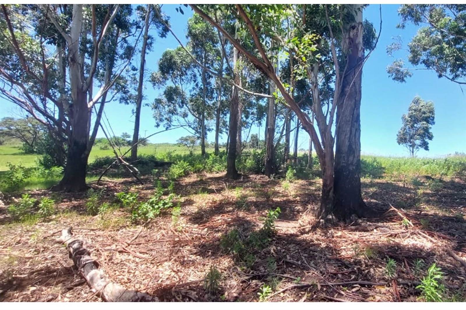 1066 m² Land available in Kwelera photo number 8