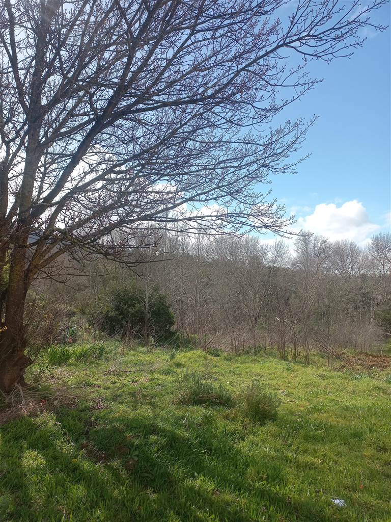 2019 m² Land for sale in Caledon T4304705 Private Property