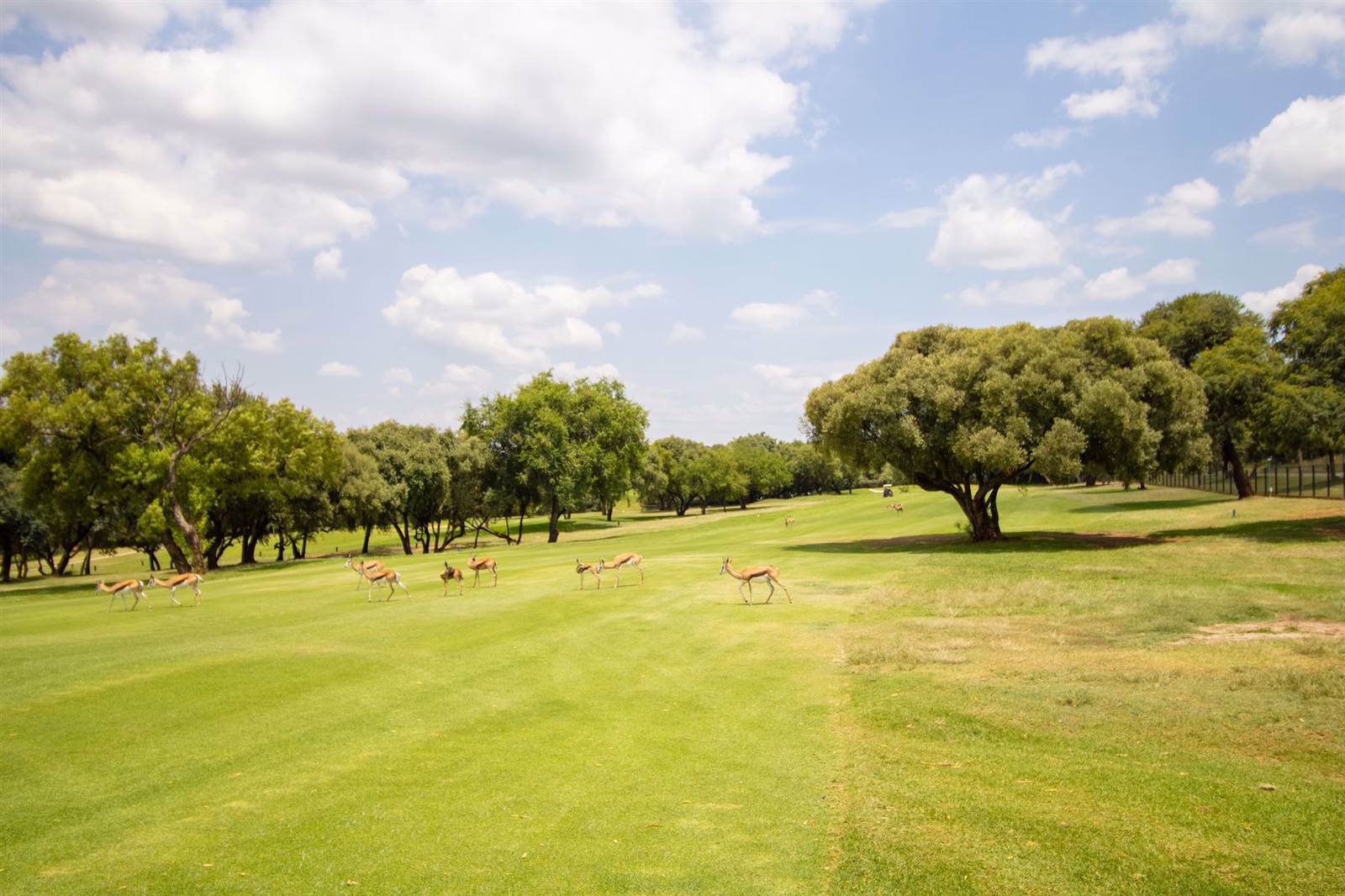 416 m² Land available in Magalies Golf Estate photo number 3