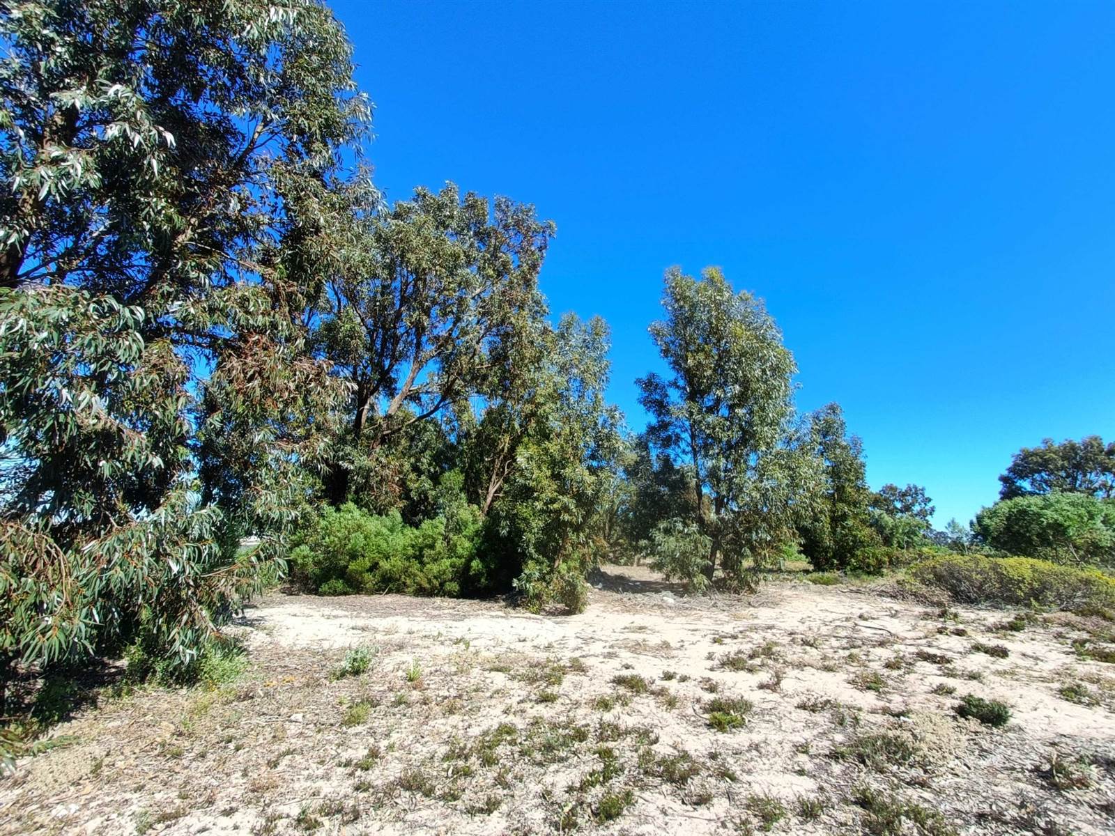 450 m² Land available in Britannia Bay photo number 5