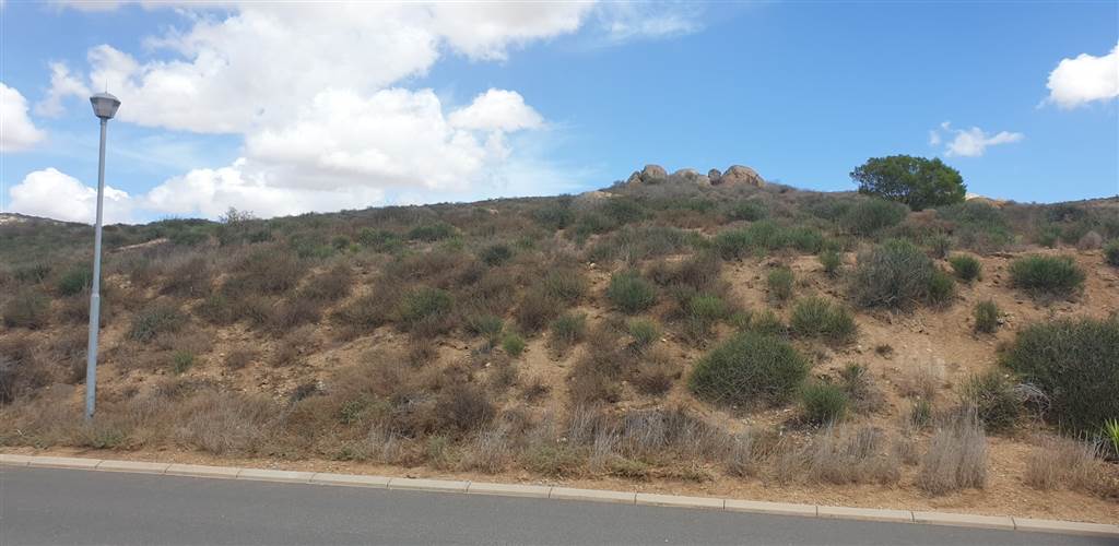 860 m² Land available in Britannica Heights photo number 10