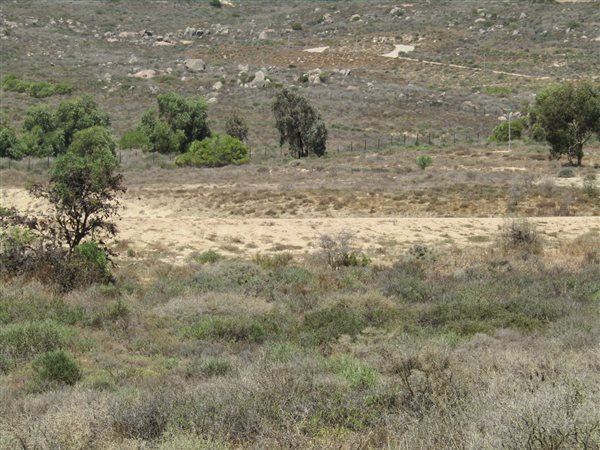 463 m² Land available in St Helena Views