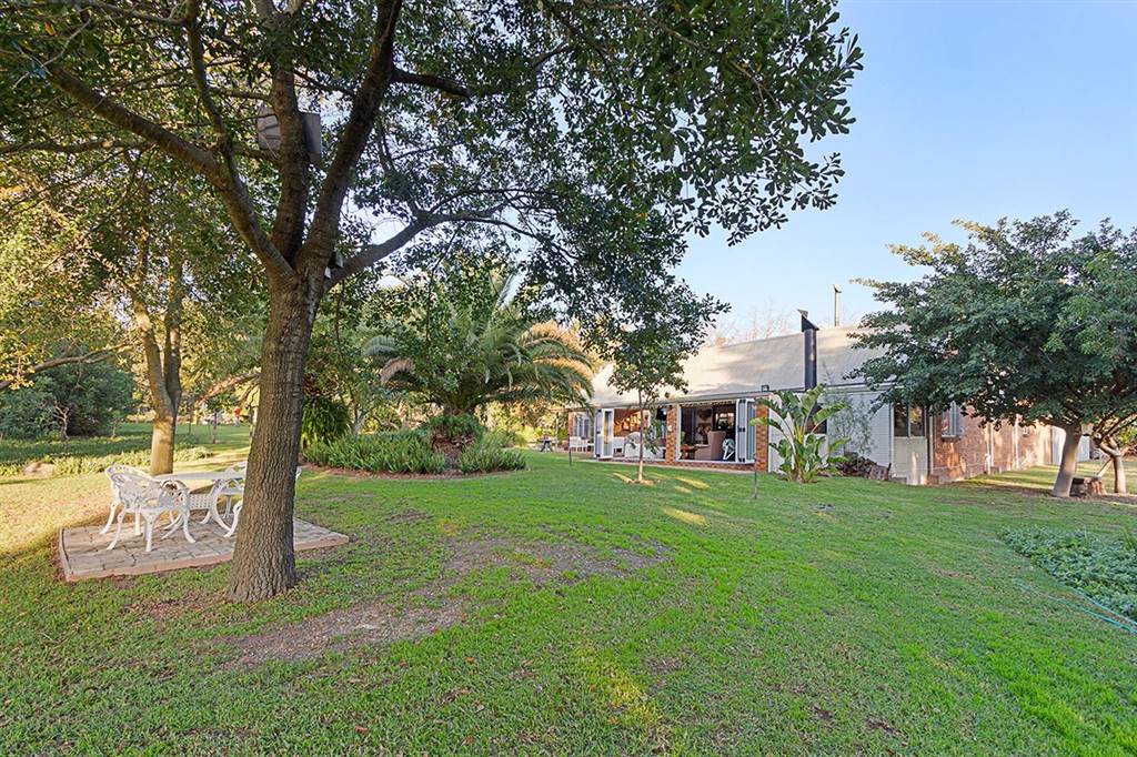 3.6 ha Smallholding in Northern Paarl photo number 15