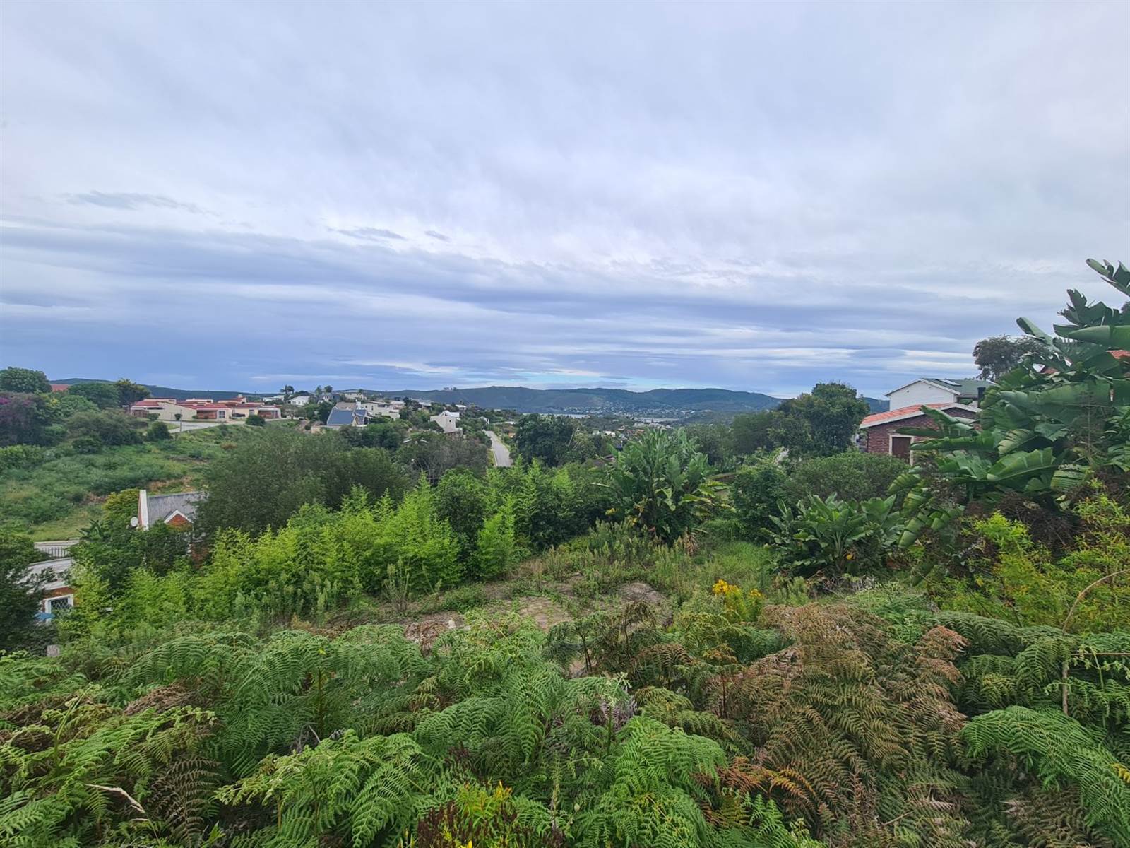 1388 m² Land available in Knysna Heights photo number 5