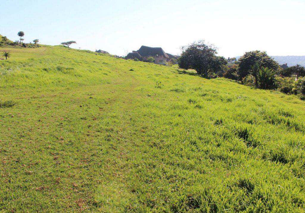 2000 m² Land available in Phezulu photo number 7