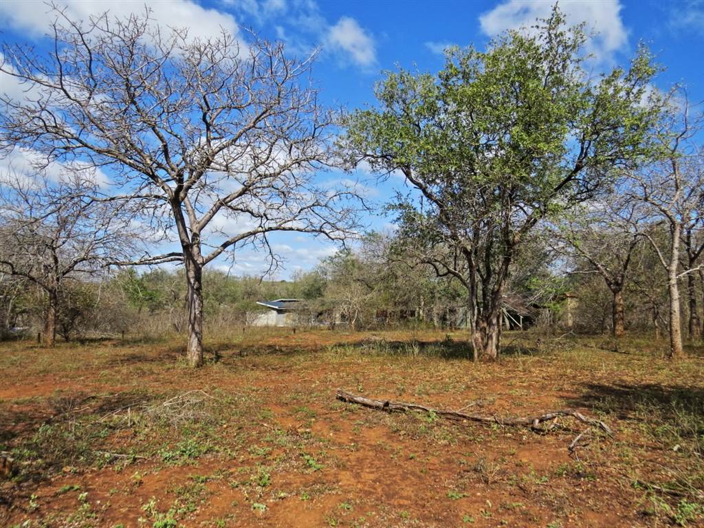 1580 m² Land available in Marloth Park photo number 3