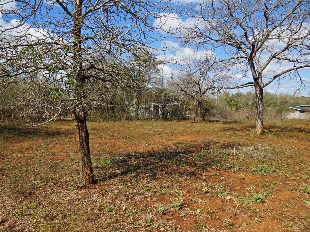 1580 m² Land available in Marloth Park photo number 4