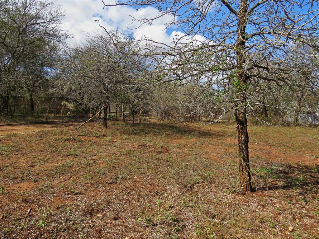 1580 m² Land available in Marloth Park photo number 5