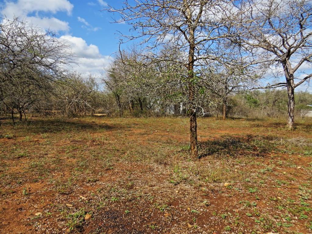 1580 m² Land available in Marloth Park photo number 8