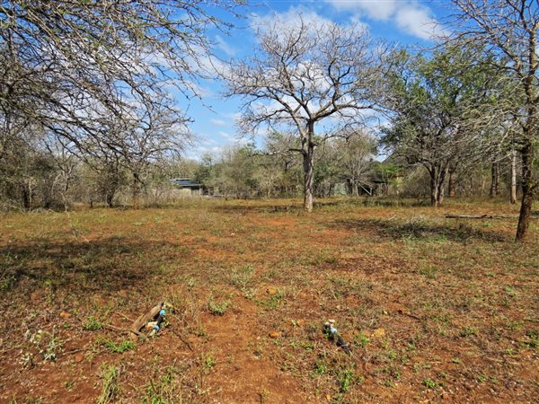 1580 m² Land available in Marloth Park