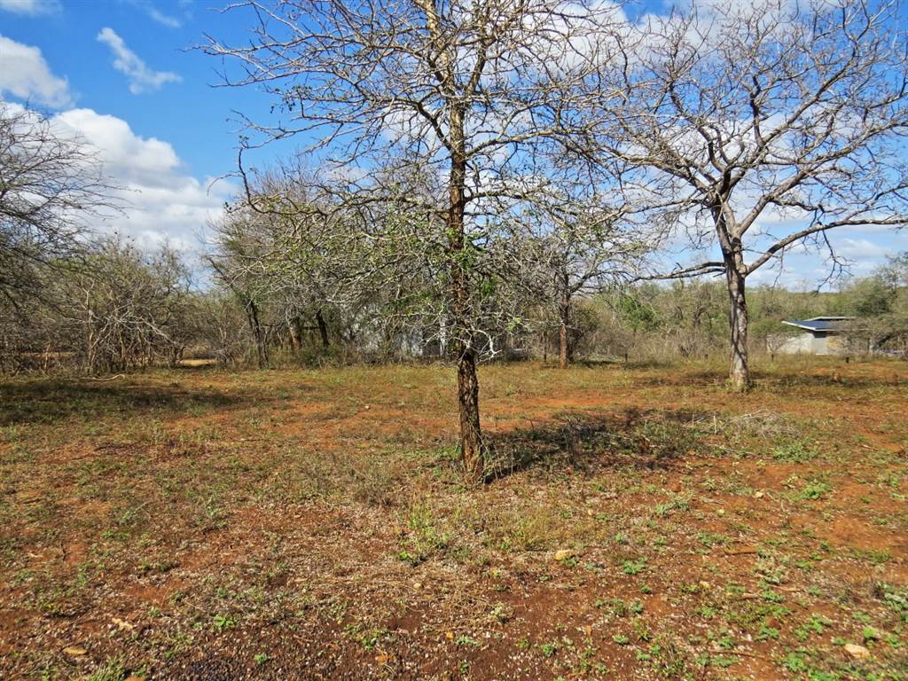 1580 m² Land available in Marloth Park photo number 7