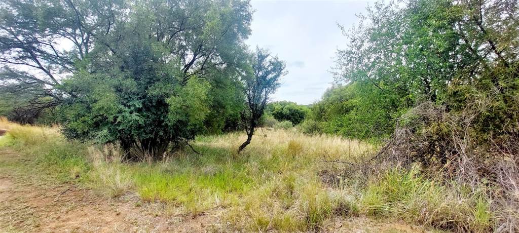 1.2 ha Land available in Leeuwfontein photo number 8