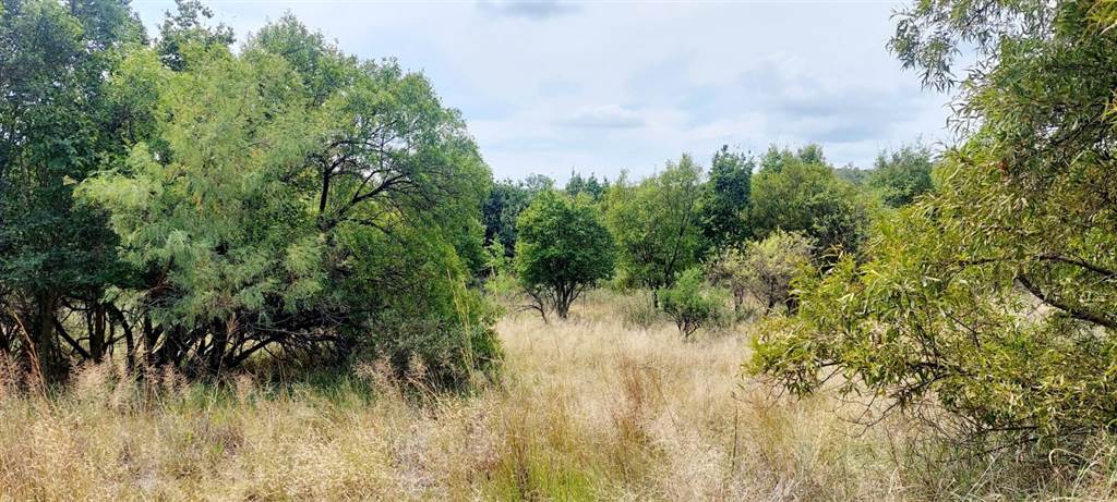 1.2 ha Land available in Leeuwfontein photo number 14