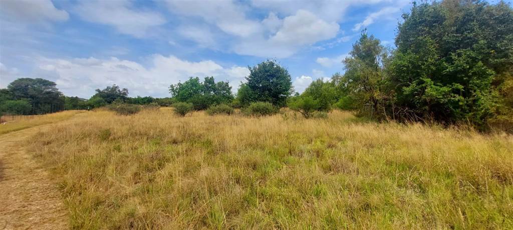1.2 ha Land available in Leeuwfontein photo number 9
