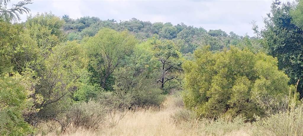 1.2 ha Land available in Leeuwfontein photo number 13