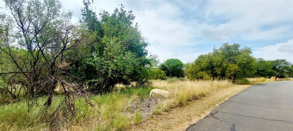 1.2 ha Land available in Leeuwfontein photo number 12