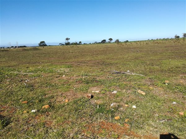 2.9 ha Land available in Greenbushes