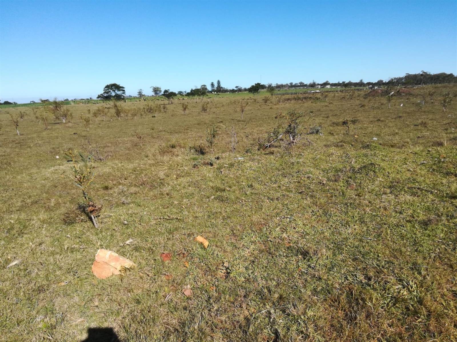 2.9 ha Land available in Greenbushes photo number 2