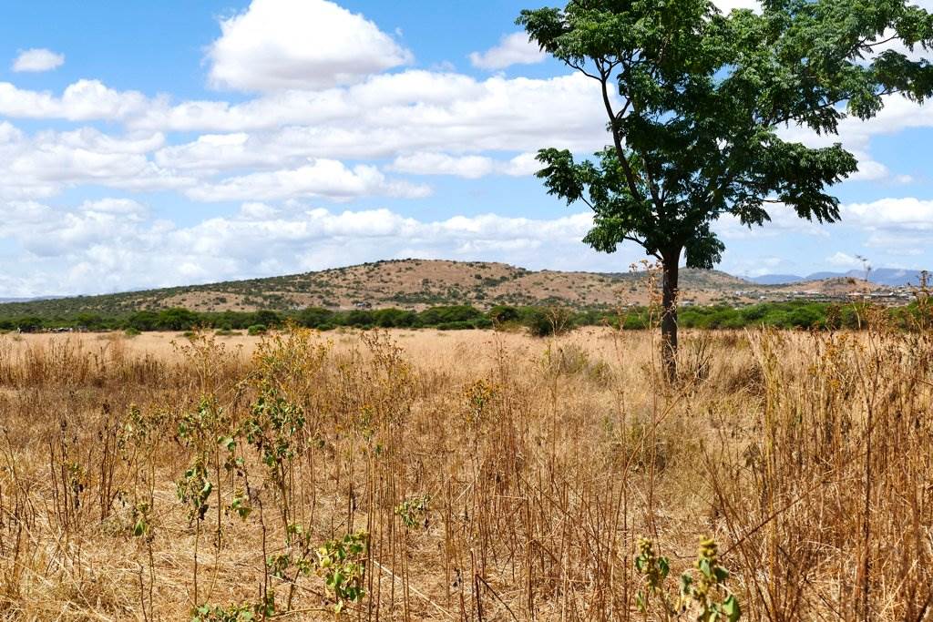 8.5 ha Land available in Polokwane Central photo number 1