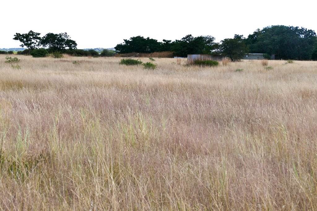8.5 ha Land available in Polokwane Central photo number 10