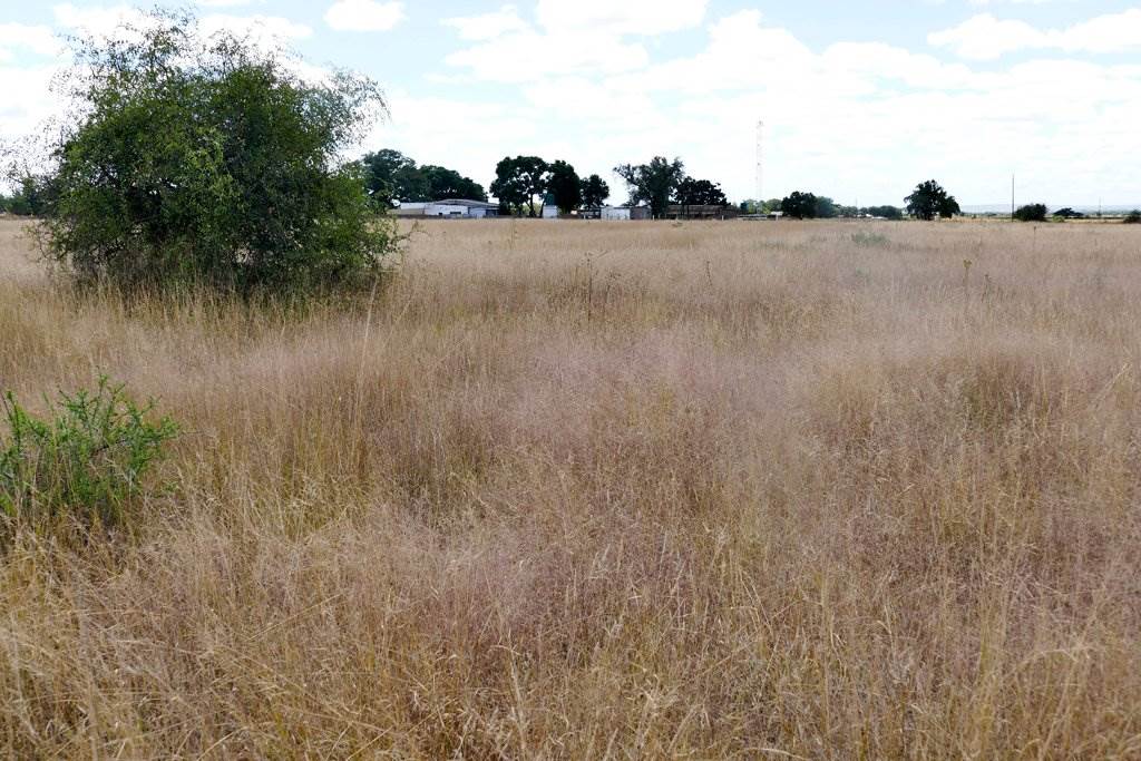 8 m² Land available in Polokwane Central photo number 12