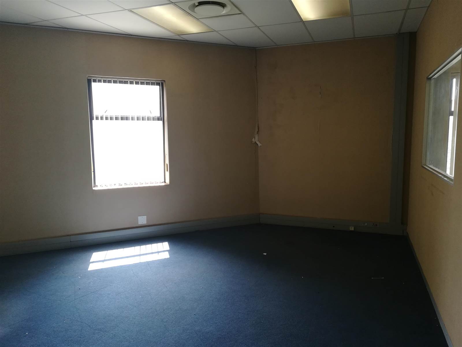 219  m² Commercial space in Kempton Park Central photo number 3