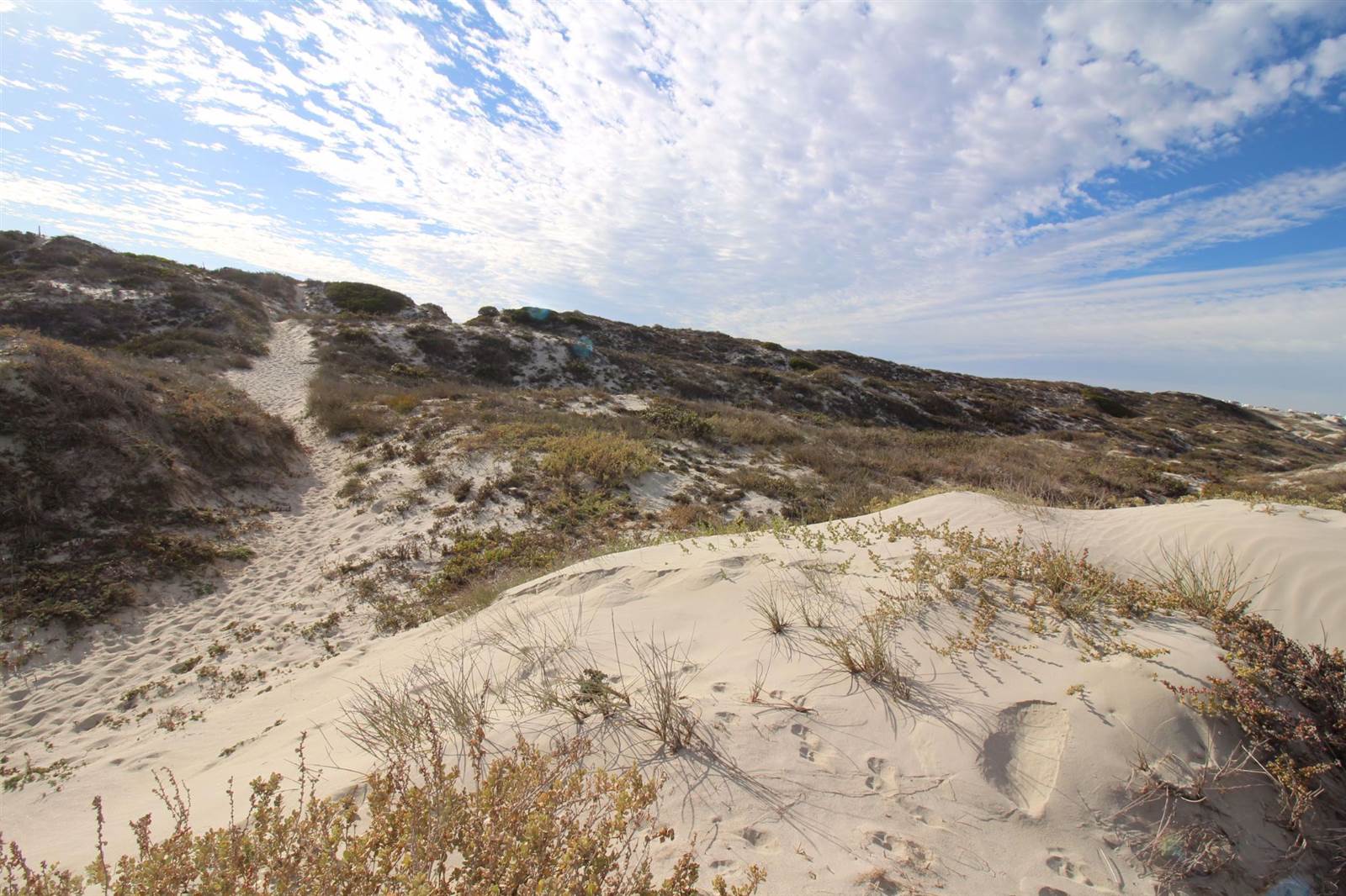 19.2 ha Land available in Langebaan North photo number 9