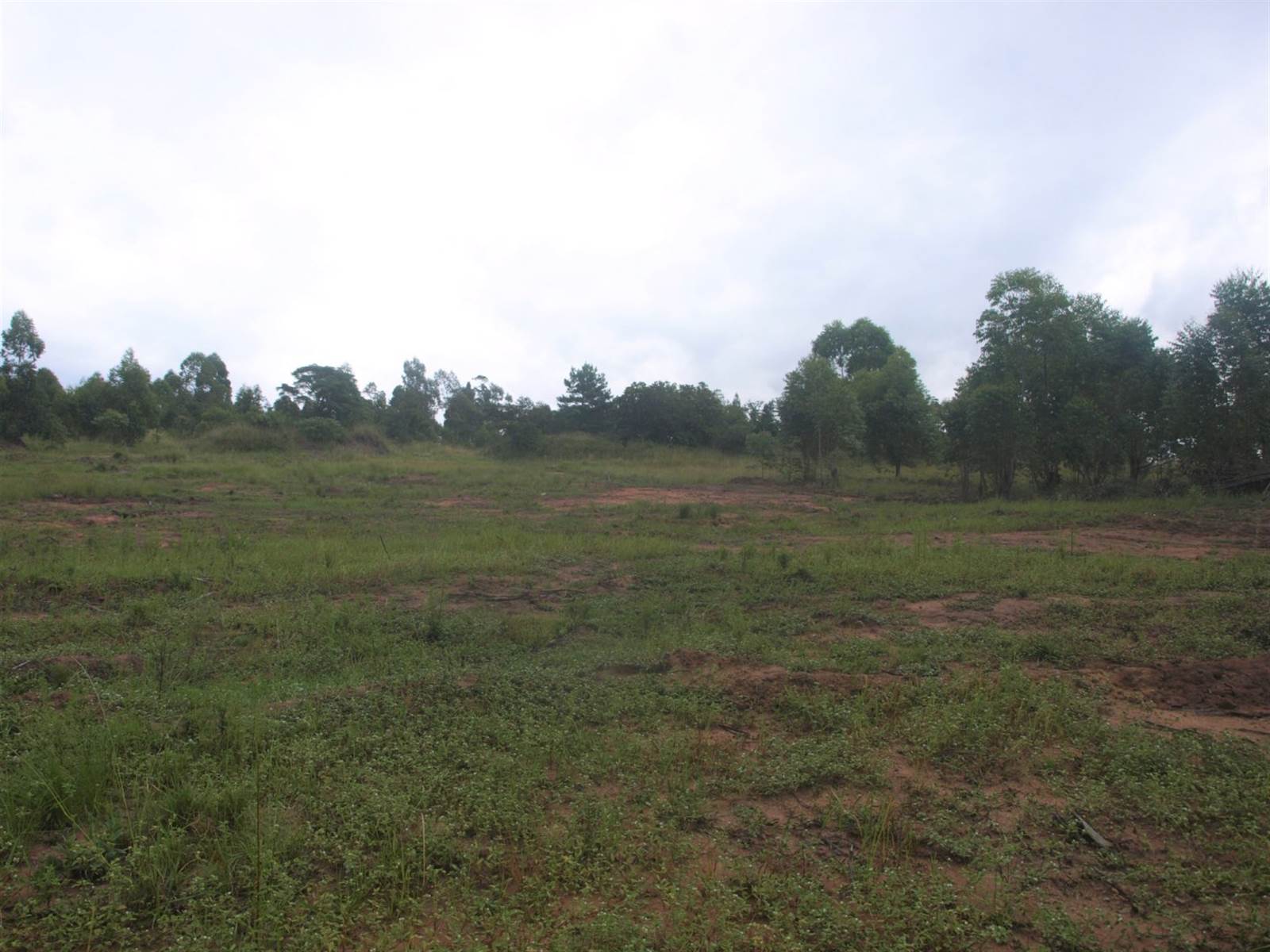 14.1 ha Land available in Cliffdale photo number 21
