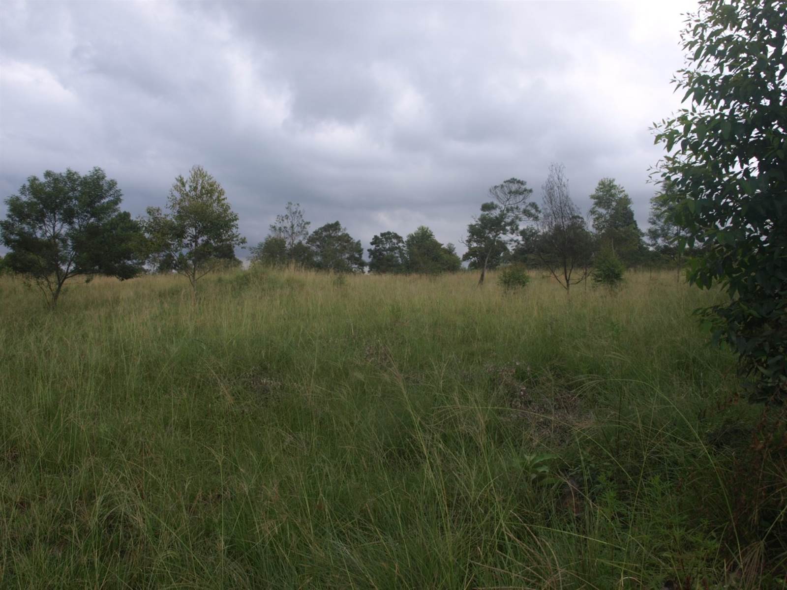 14.1 ha Land available in Cliffdale photo number 23