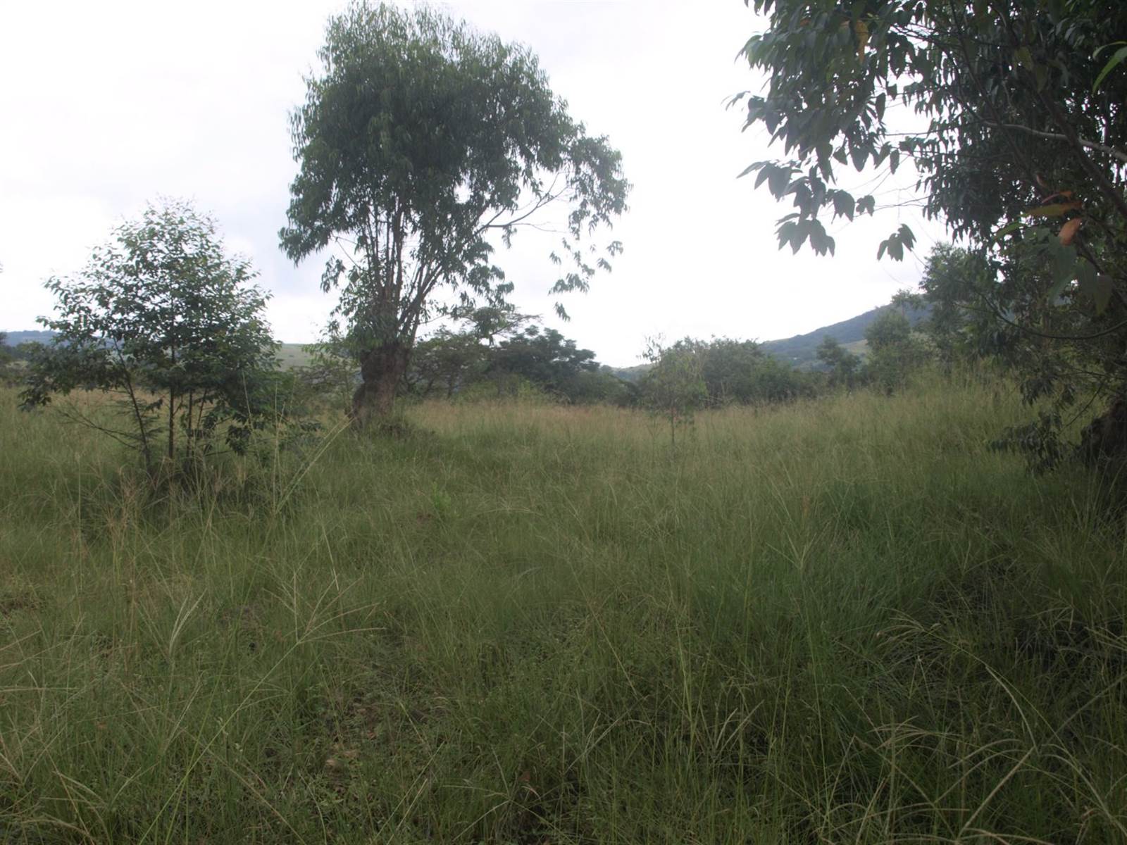 14.1 ha Land available in Cliffdale photo number 22