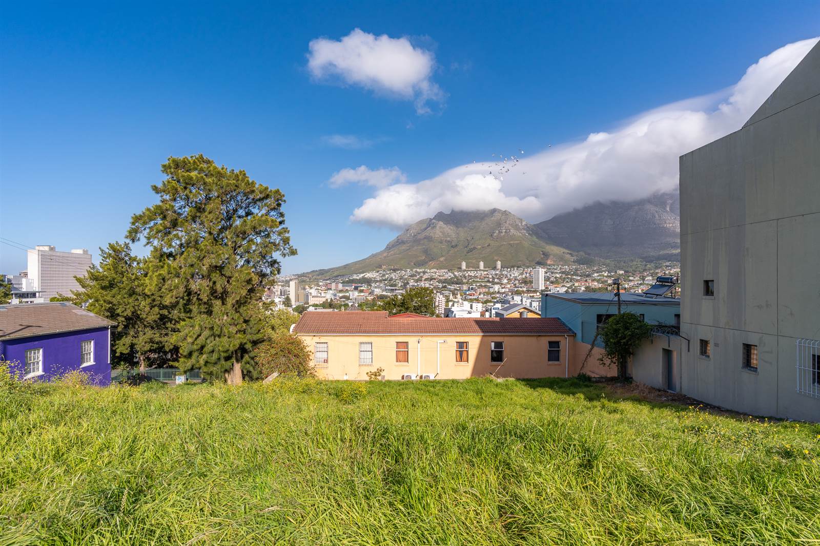 365 m² Land available in Bo-Kaap photo number 4
