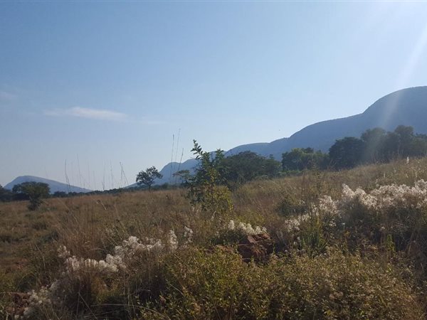 64 ha Land available in Rietfontein
