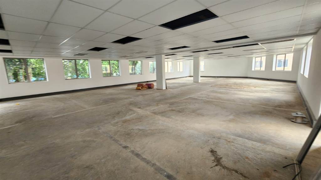 767  m² Commercial space in Hatfield photo number 5