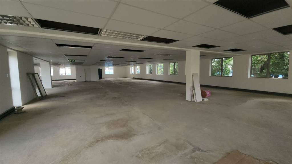 767  m² Commercial space in Hatfield photo number 7