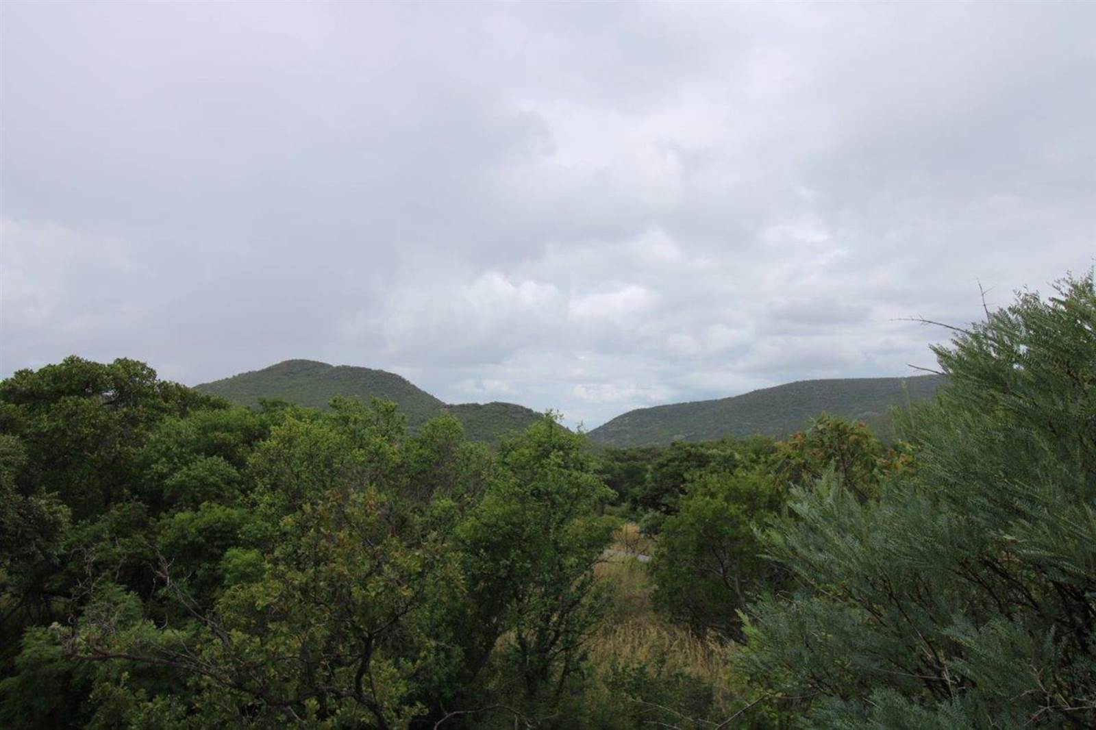 2500 m² Land available in Zwartkloof Private Game Reserve photo number 7
