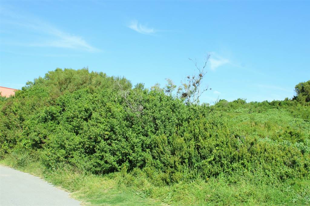 1062 m² Land available in Santareme photo number 9