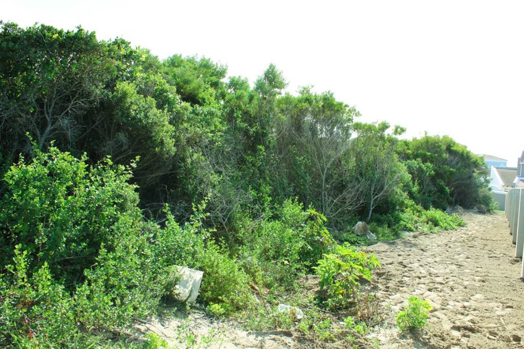 1062 m² Land available in Santareme photo number 2