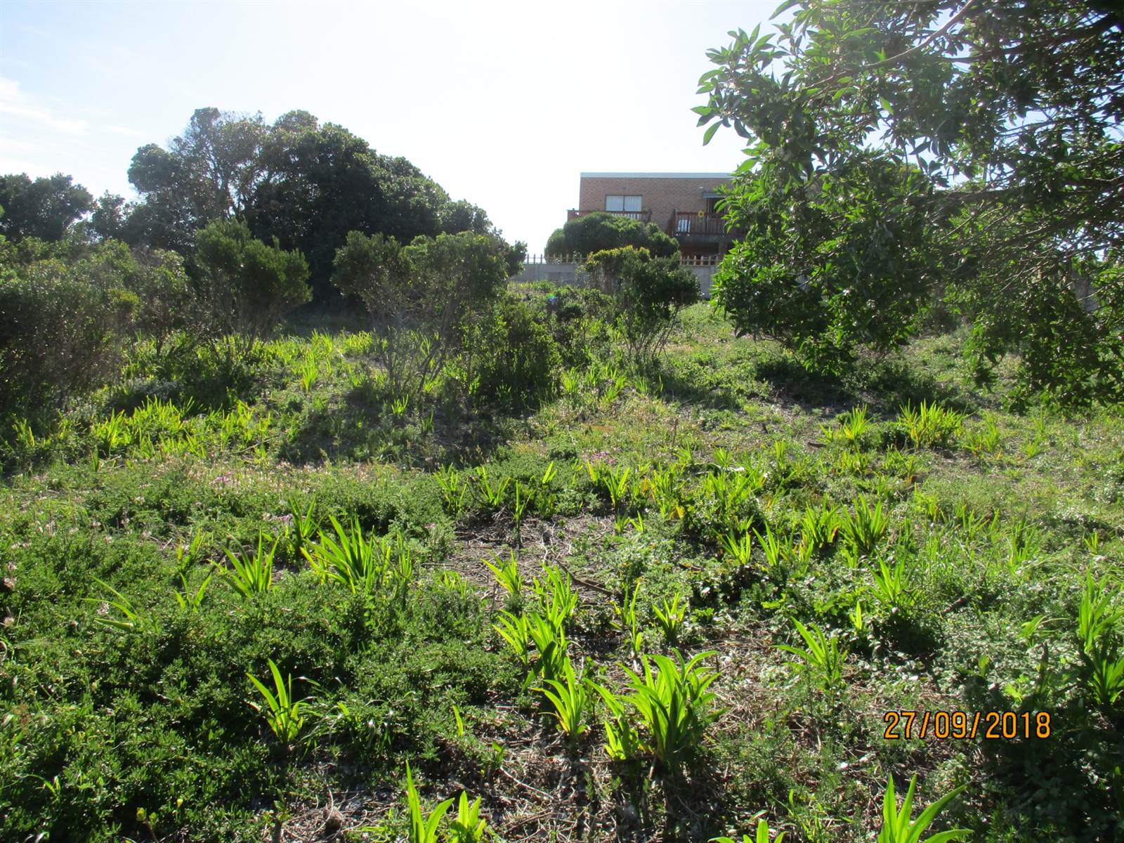 787 m² Land available in Franskraal photo number 5