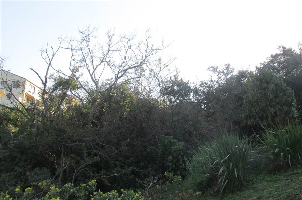 925 m² Land available in Brenton on Sea photo number 5