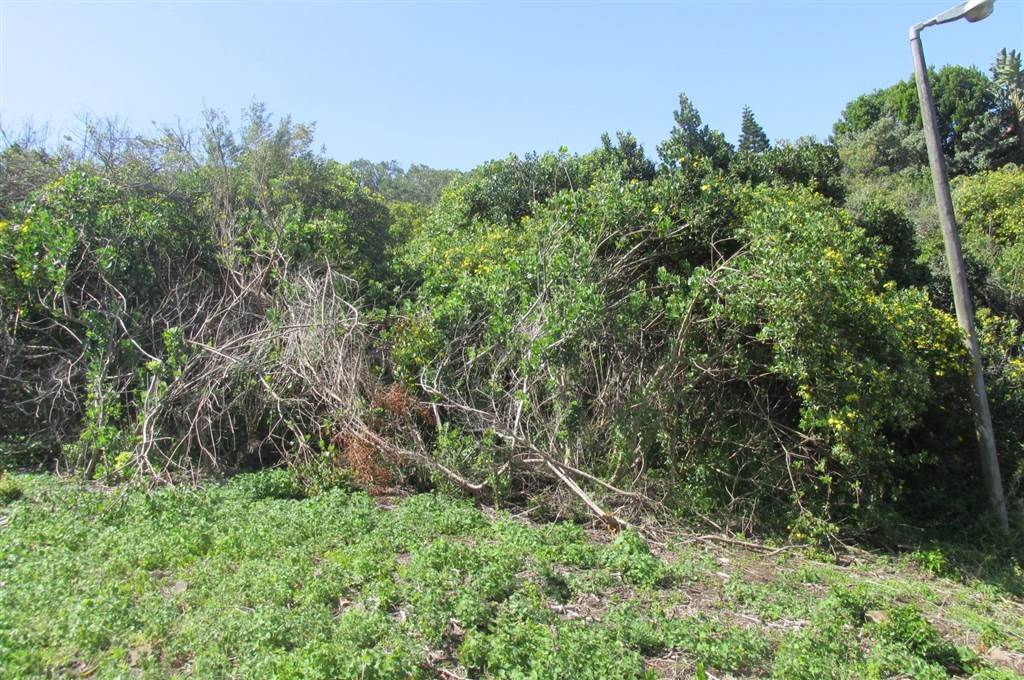 925 m² Land available in Brenton on Sea photo number 7