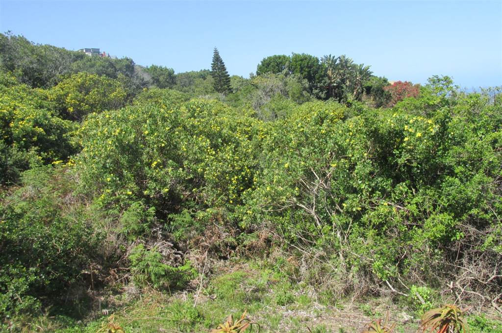 925 m² Land available in Brenton on Sea photo number 8