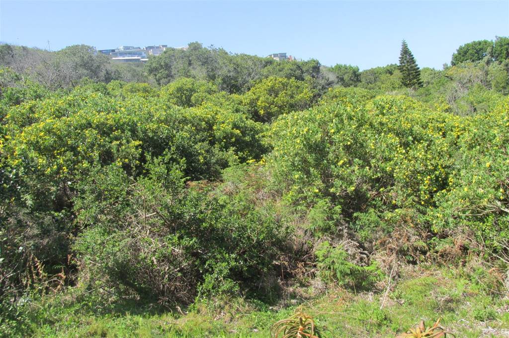 925 m² Land available in Brenton on Sea photo number 9