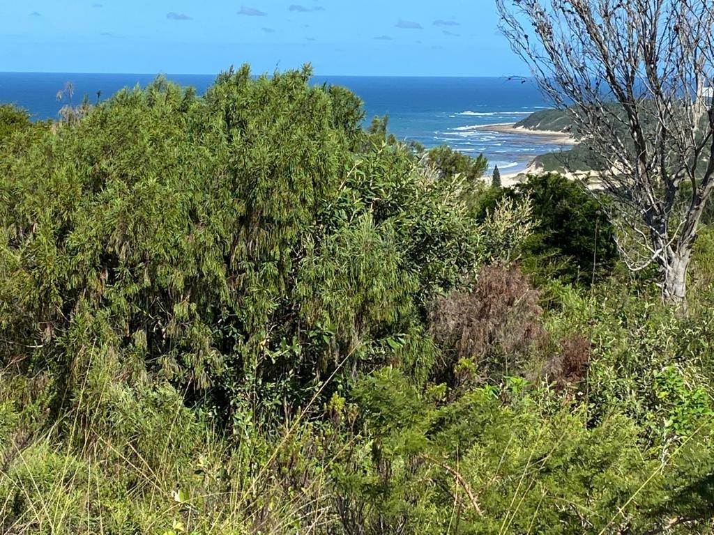 1184 m² Land available in Cintsa photo number 2