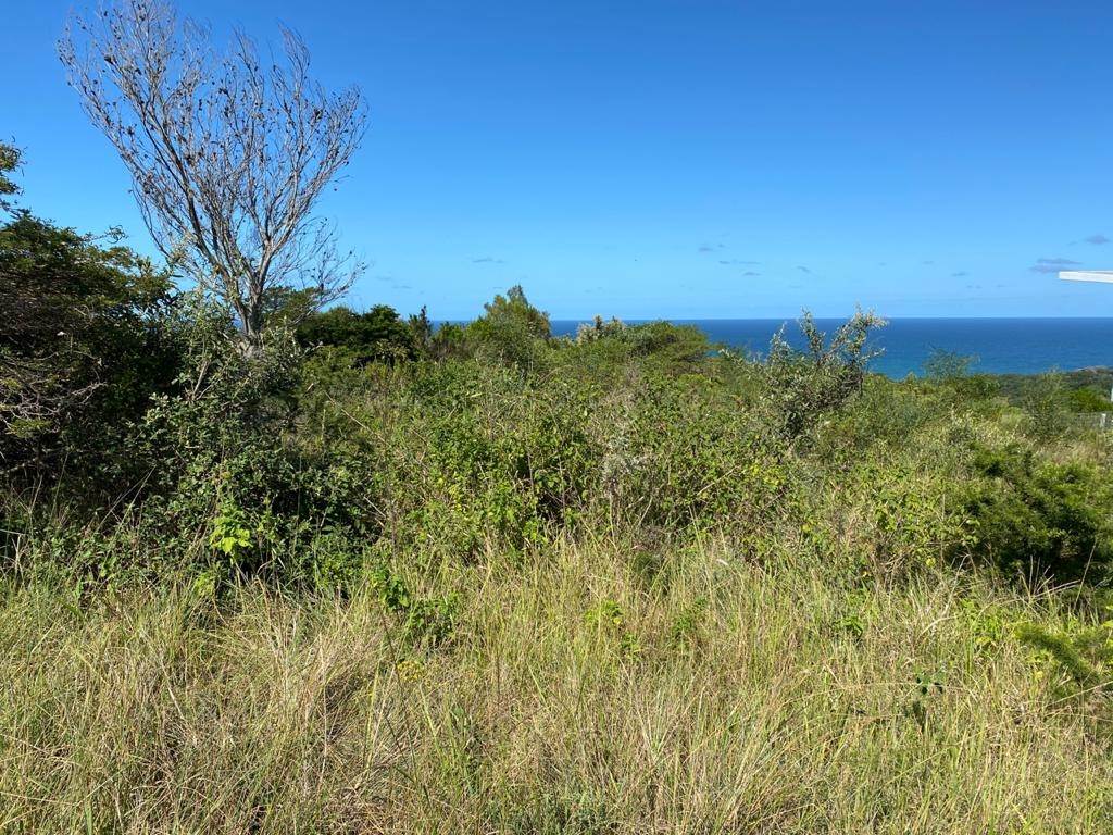 1184 m² Land available in Cintsa photo number 5