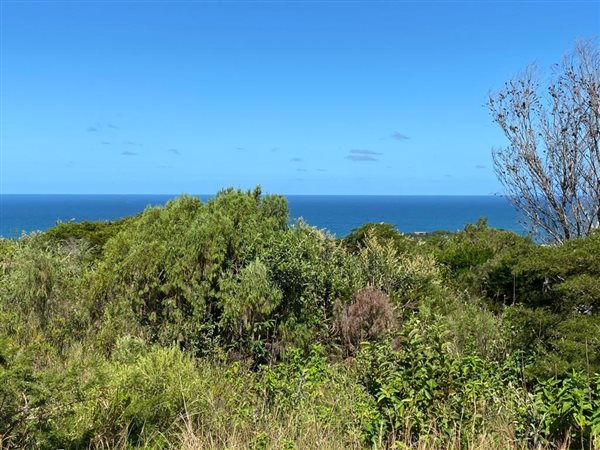 1184 m² Land available in Cintsa