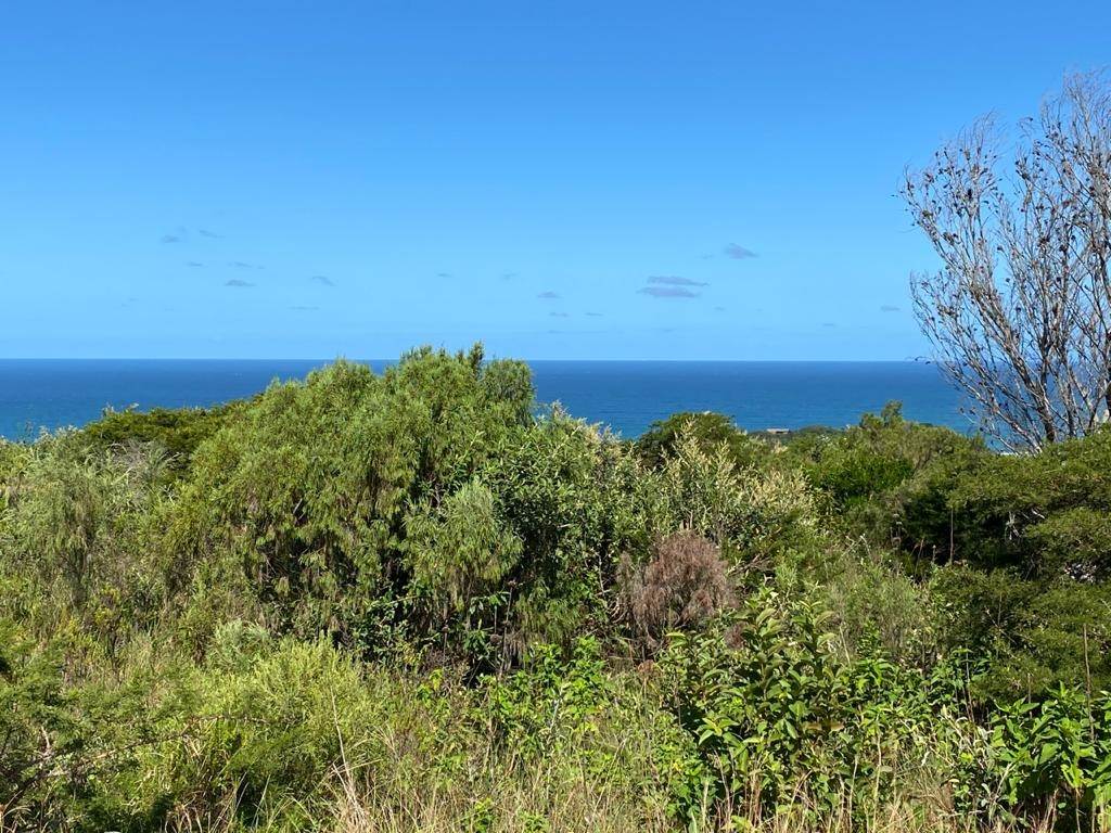 1184 m² Land available in Cintsa photo number 1