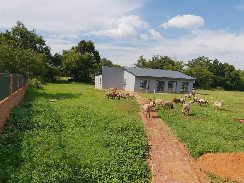 21.4 ha Farm in Hartbeesfontein photo number 19