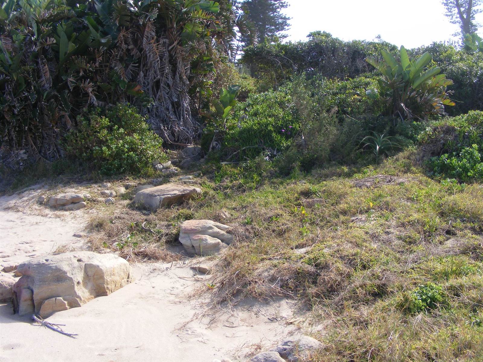 1975 m² Land available in Port Edward photo number 7